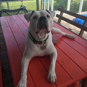 Meet your Posher, Justin